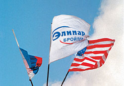 Птичий город