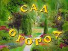 Эксперт советует