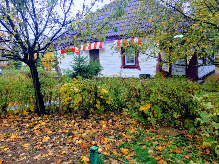 Pizza Express 24 в Селятино Pizza Express 24 в Селятино