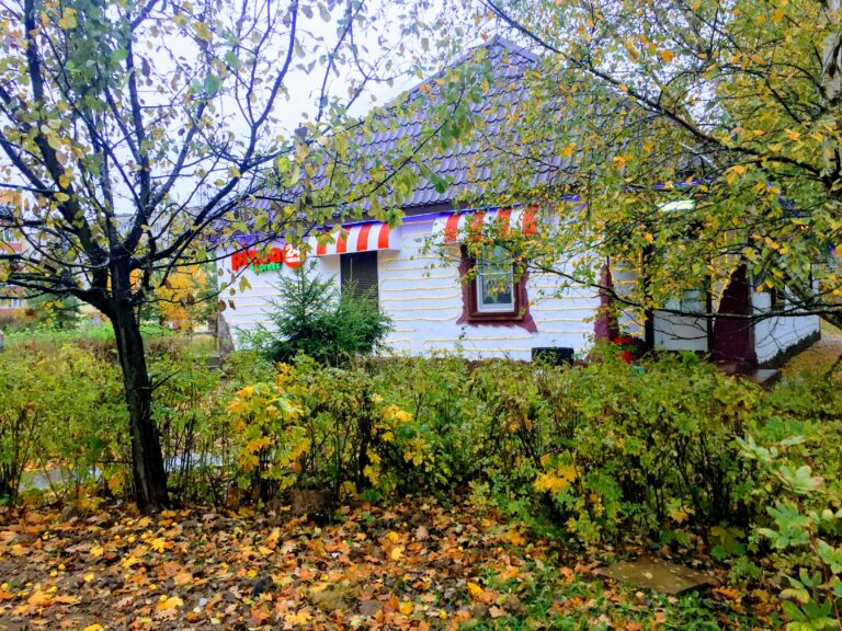 Pizza Express 24 в Селятино Pizza Express 24 в Селятино