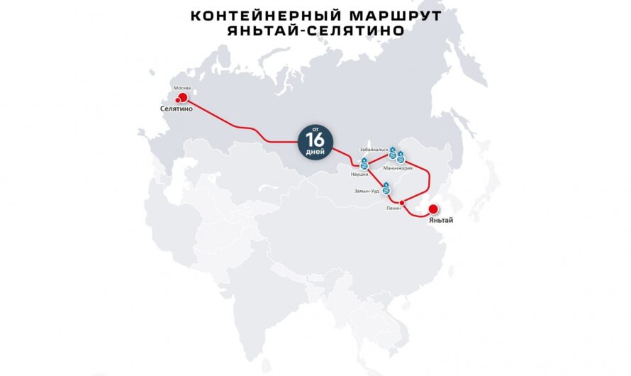 В Подмосковье реализована первая очередь экспортного проекта в Китай «Агрохаб Евразия»