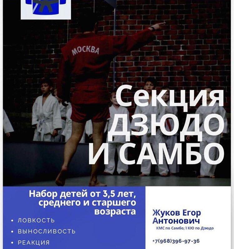 Секция ДЗЮДО и САМБО в Селятино