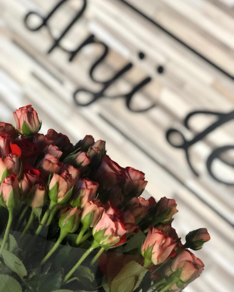 instasaver 91124837 1 768x960