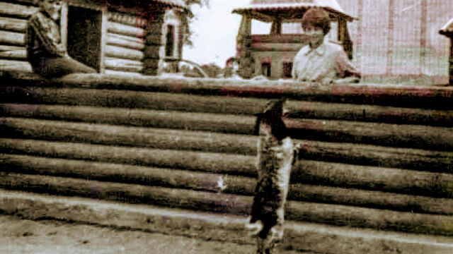 Детский городок у Крутиловского пруда Селятино 1970-е