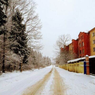 улица Госпитальная Селятино